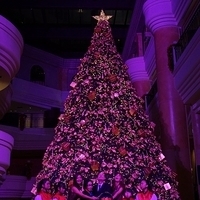 Grand Hyatt Taipei Christmas Tree Lighting Ceremony