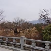 2013.01.20-Korea-026.JPG