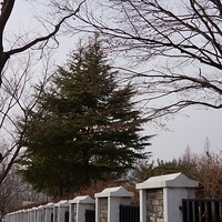 2013.01.20-Korea-092.JPG