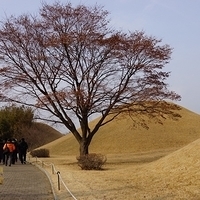 2013.01.20-Korea-191.JPG