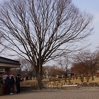 2013.01.20-Korea-194.JPG