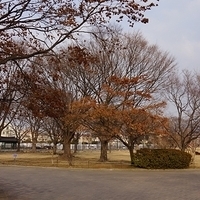2013.01.20-Korea-204.JPG