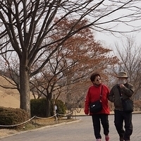 2013.01.20-Korea-207.JPG