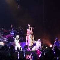 2014.04.28-Katy Perry-241