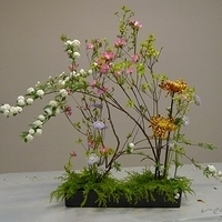 Flower Arrangement 03-05-2010
