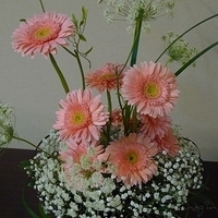 Flower Arrangement 04-23-2010