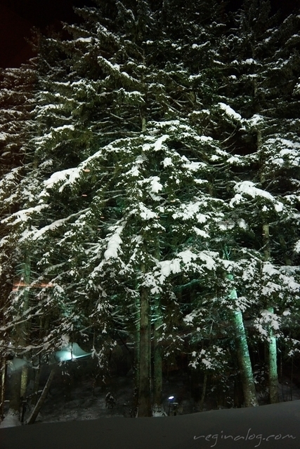 2015.12.20-043