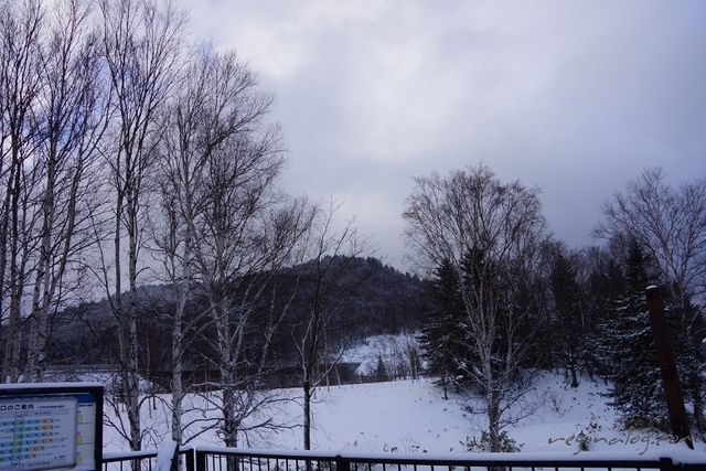 2015.12.22-028