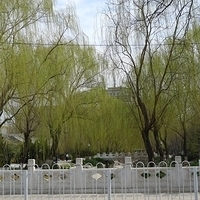 2009.03.26-Beijing-026.JPG