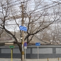 2009.03.26-Beijing-070.JPG