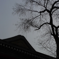 2009.03.27-Beijing-013.JPG