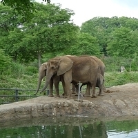 2009.07.03-zoo-022.JPG