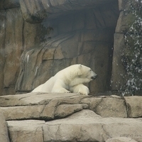 2009.07.03-zoo-167.JPG