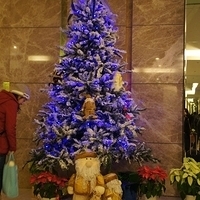 2011.12.25-348.JPG