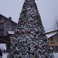 2012.12.21-214.JPG