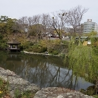 2014.04.01-113.JPG