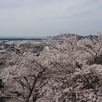 2014.04.01-152.JPG