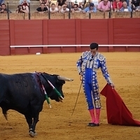 2014 Summer - Plaza de Toros de Sevilla