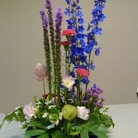 Flower Arrangement 02-26-2010