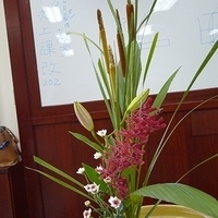 Flower Arrangement 05-26-2009