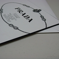 2008.10.15-prada dm-006.JPG