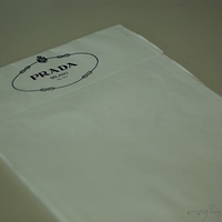 2009.03.06-PRADA 2009 SS-001.JPG