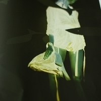 2009.03.06-PRADA 2009 SS-039.JPG